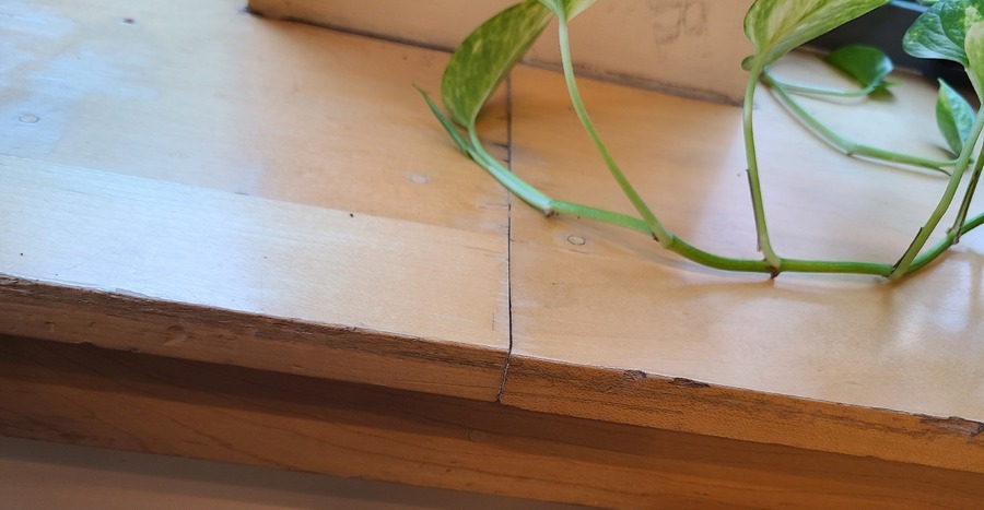 Damaged plywood in a cafe